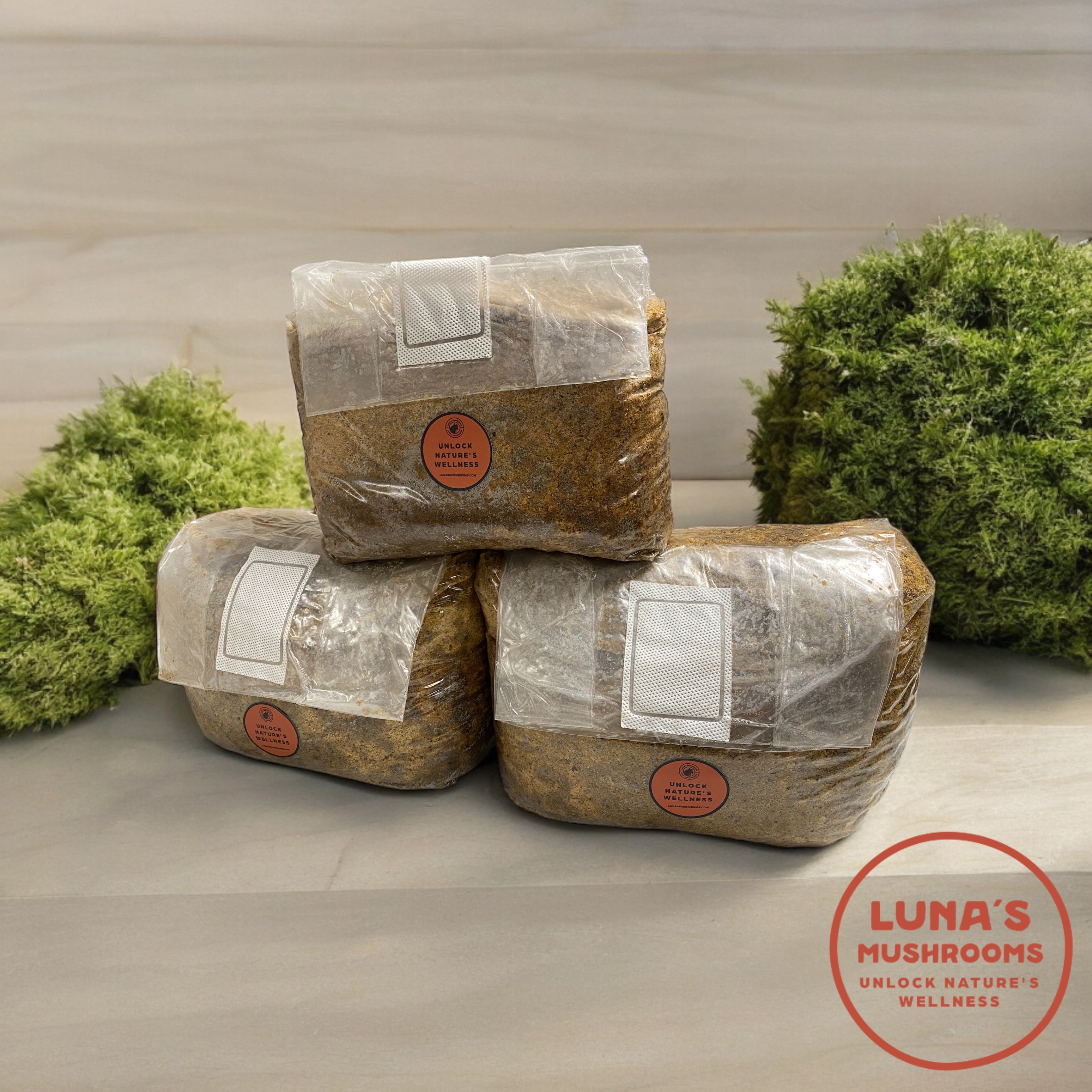 Master's Mix Fast-Fruiting Blend