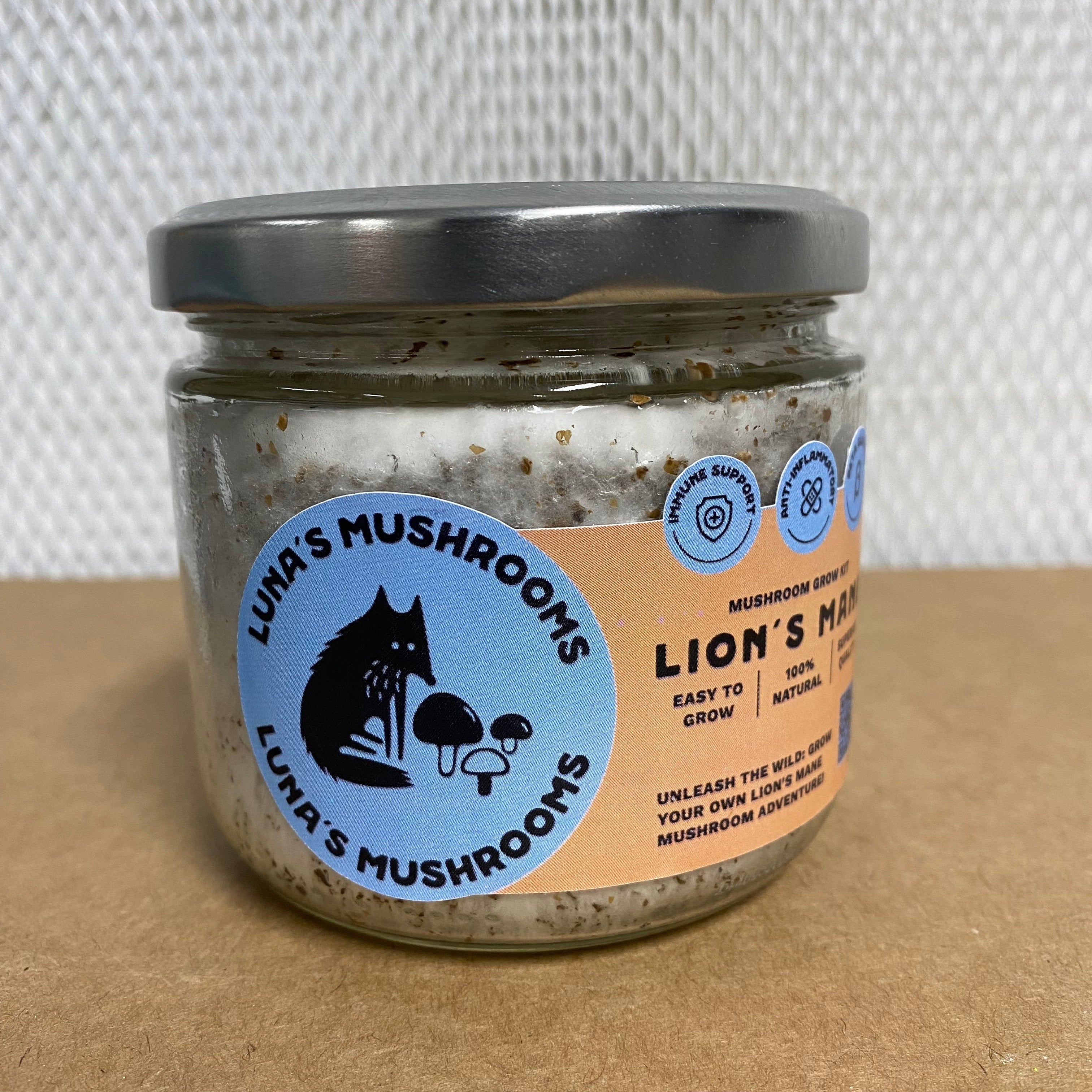 Lion's Mane Mini Kit