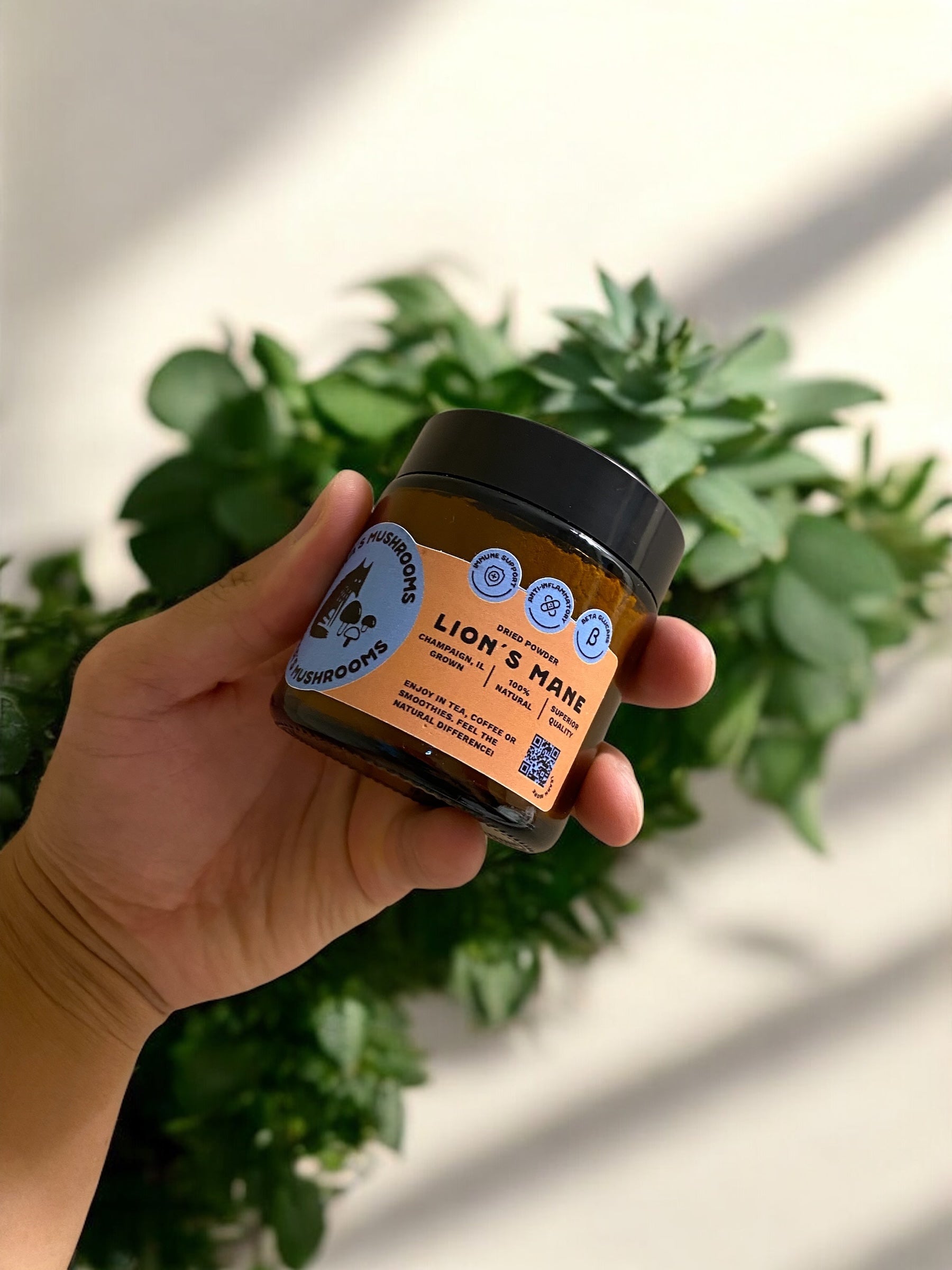 Lion's Mane Powder