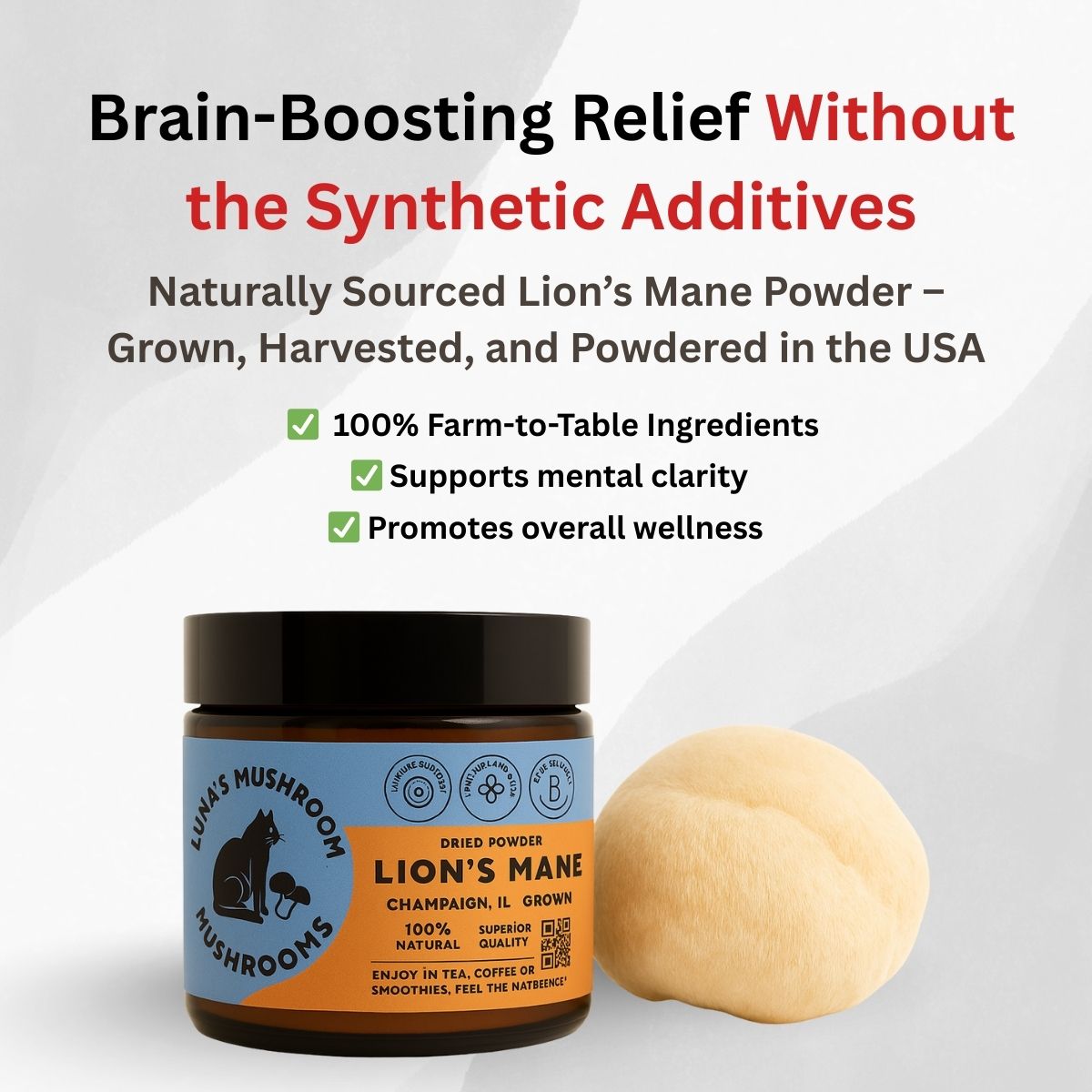 Lion's Mane Powder