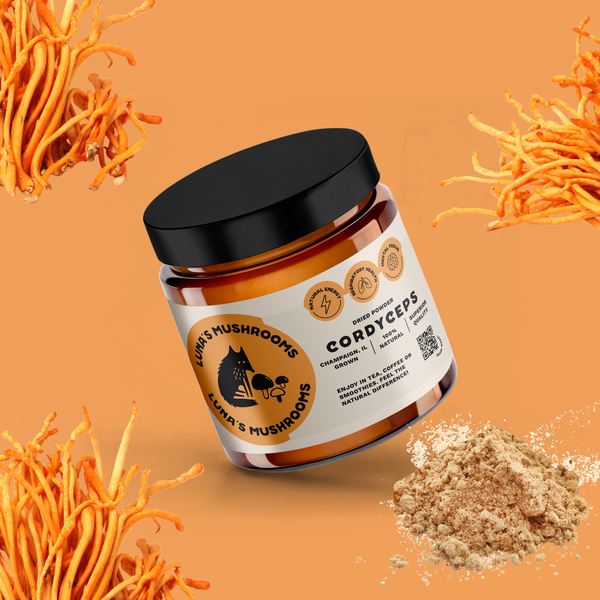 Cordyceps Powder