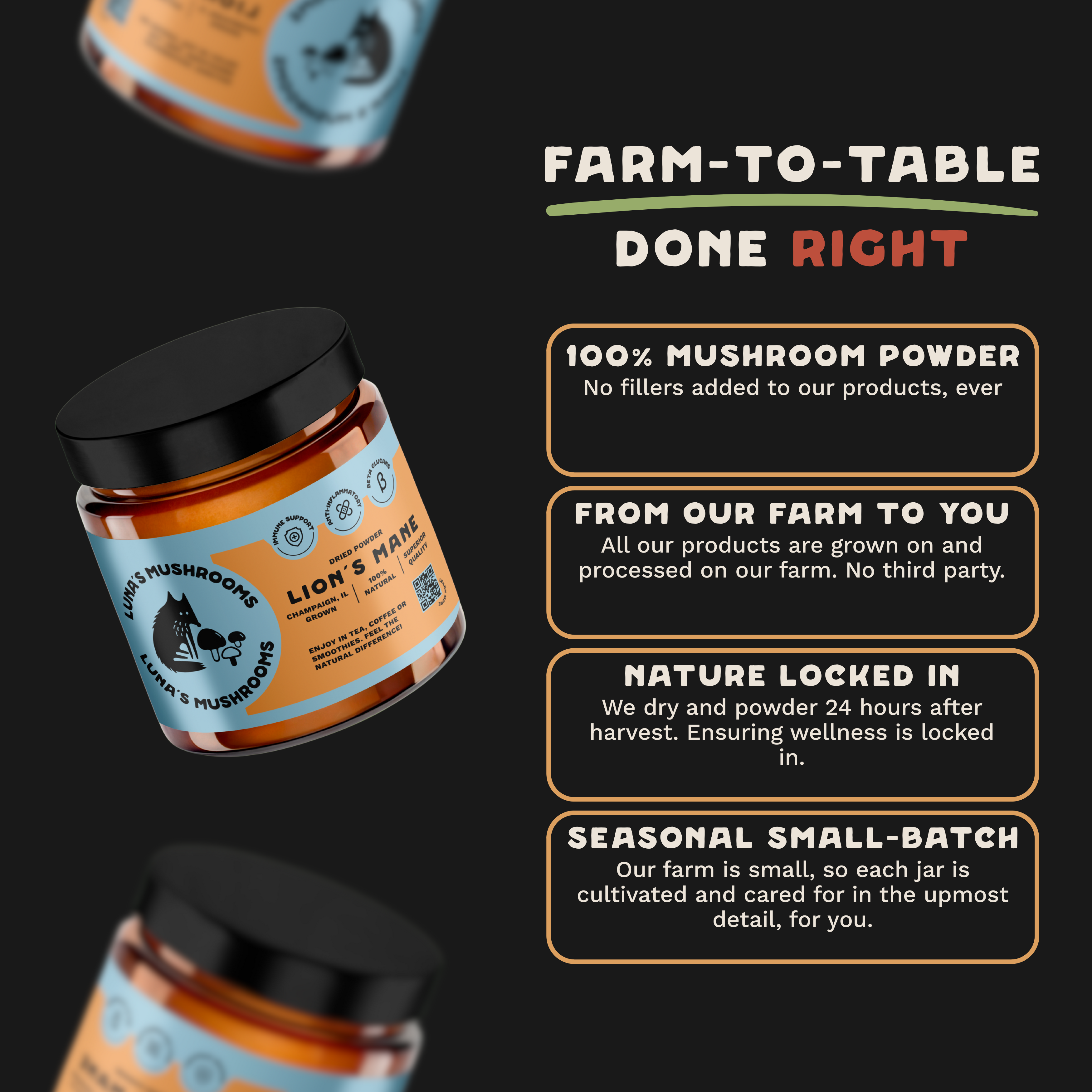 Lion's Mane Capsules